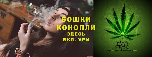 МДПВ Михайловск
