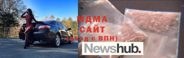 прущие грибы Михайлов