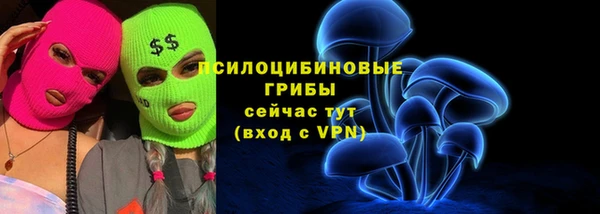 гашик Медвежьегорск