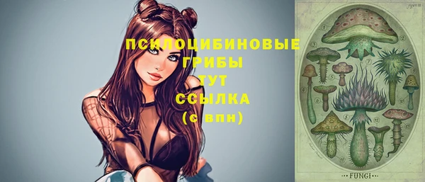 МДМА Медногорск
