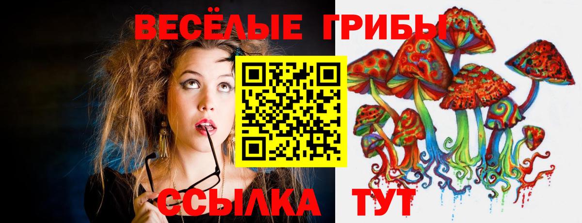 Галлюциногенные грибы ЛСД  Вход с VPN  Галлюциногенные грибы мухоморы  Грозный 