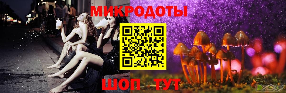 Псилоцибиновые грибы Cubensis Грозный